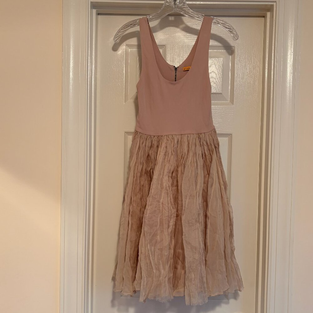 Alica and Oliva Blush Pink Dress